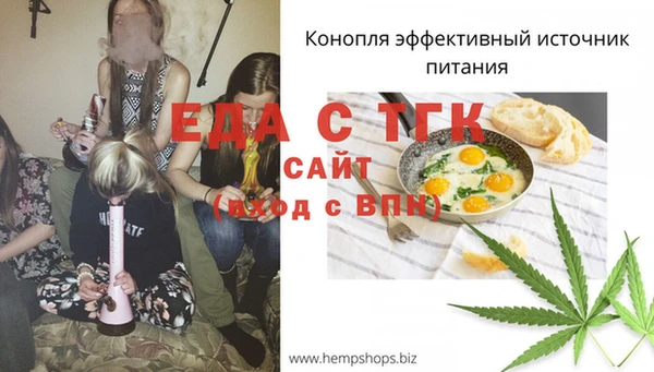 хмурый Верхний Тагил