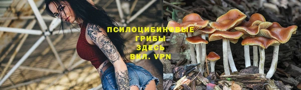 альфа пвп Верхнеуральск