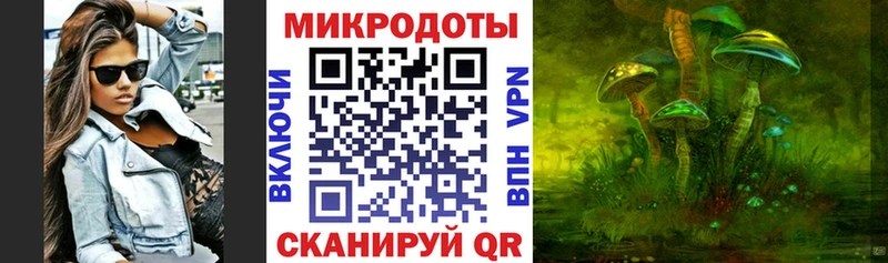 Псилоцибиновые грибы Psilocybine cubensis Купить Анадырь